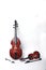 Violin and bass-viol  on white background