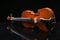 Violin on a black background