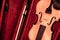 Violin and bow in dark red case. Close up view of a violin strings and bridge