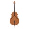 Violin with bow isolated fine performance stringed classical music art instrument and concert musical orchestra string