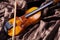 Violin on brown mink