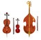 Violin, cello and double bass. stringed music instruments