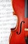 Violin classic string instrument