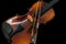 Violin Classic String Music iNstrument