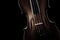 Violin closeup strings musical instruments