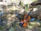 violin by creek on tree roots with shadows and lights