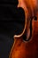 Violin detail