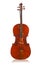 Violin front view