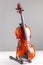 Violin front view isolated on gray