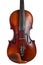 A violin image on the white background