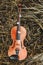 violin lies on the grass view from above