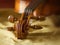 Violin macro