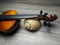 Violin and old sea shell