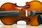 The violin is one of the most popular instruments in the orchestra.