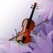 Violin on purple