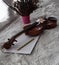Violin put on background,prepare for practice