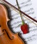 Violin, rose and music