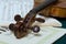 Violin scroll