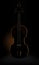 A violin is seen in striking and unusual lighting in this image