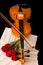 Violin sheet music and rose closeup still life