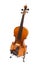 Violin on a support. Iisolated