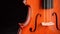 Violin or viola gyrating at black background