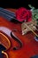 Violin Viola and Red Rose