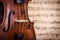 Violin waist detail