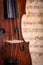 Violin waist detail