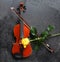 Violin, yellow rose on black background. Top
