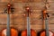 Violins in wood background