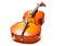 Violoncello in full length on the white background