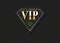 VIP club invitation vector template.