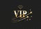 VIP club invitation vector template. Luxury 3d logo with golden gradient frame