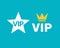 Vip icon flat exclusive important membership badge crown. Vip icon member club