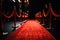VIP red luxurious carpet for celebrities