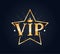 VIP star lettering, logo, stamp, sticker. Creative composition in gold color