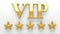 VIP - Very important person - gold 3D render on the wall backgro