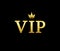 Vip. Vip logo. Gold crown for premium. Premium club. Gold badge. icon for privilege, casino, membership and exclusive. Luxury card