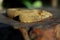 viper boa or New Guinea ground boa