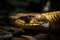 Viper snake close up. Generative AI