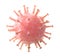 Viral infection causing chronic disease. Hepatitis viruses, influenza virus H1N1, Flu, cell infect organism, aids.