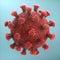 Viral Particle Conceptual Structure Virus Infections