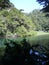 Virgin forest, primeval forest landscape sky blue lake