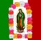 Virgin of Guadalupe, color Roses and mexican flagVector illustration.