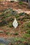 Virgin Mary on Blessed Stone and sacred spring near Manyava Skete, Ukraine