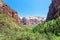 Virgin nature paniramic view of Zion National Park