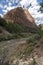 Virgin River and Mount Majestic Zion National Park