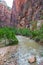 Virgin River near the Narrows, Zion National Park