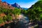 Virgin River running through Zion National Park,Utah